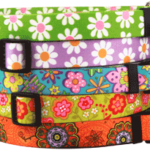 Yellow Dog Designs Collars