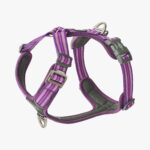Comfort Walk Air Harness-Purple Passion