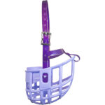 Birdwell purple muzzle