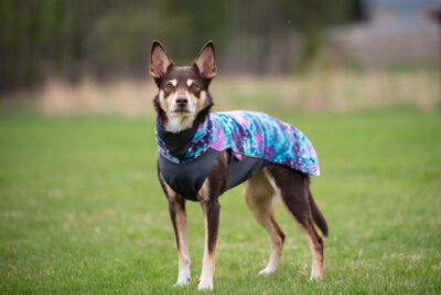 Jumppa Aurora Standing