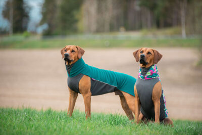 Jumppa Forest and Trail