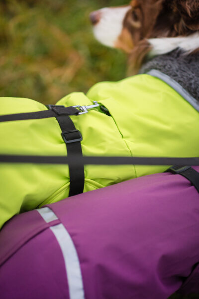 ToppaPomppa With Harness Opening - Image 10