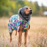 HuppuPomppa Neck Warmer