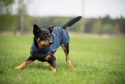 JumppaPomppa Fleece Sweater - Image 12