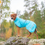 KuoriPomppa Raincoat