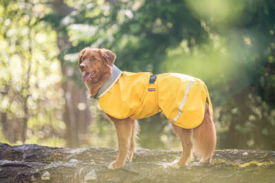 KuoriPomppa Raincoat - Image 5