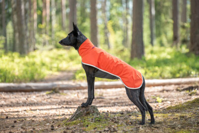 SporttiPomppa Waterproof Jumppa - Image 5