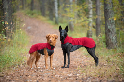 2 dogs in Polarpomppa