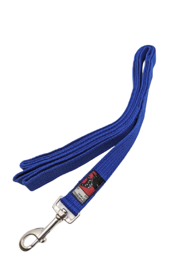 Beachcomber lead blue