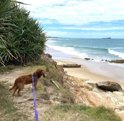 Beachcomber lifestyle