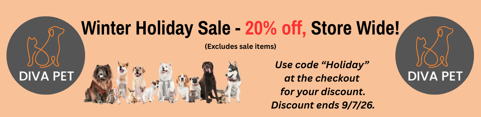 Sale Banner